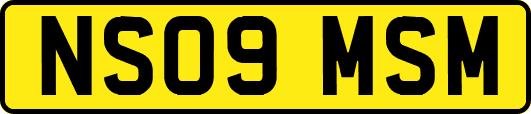 NS09MSM