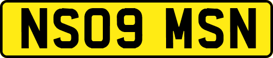 NS09MSN
