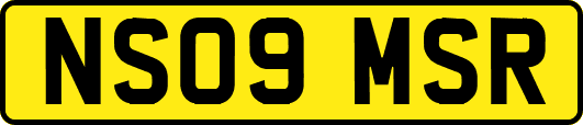 NS09MSR