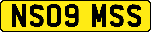 NS09MSS