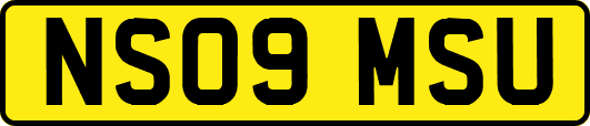 NS09MSU