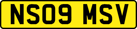 NS09MSV