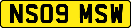 NS09MSW