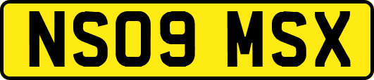 NS09MSX