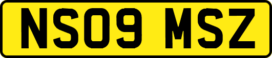 NS09MSZ