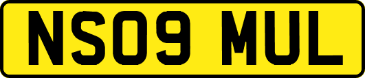 NS09MUL