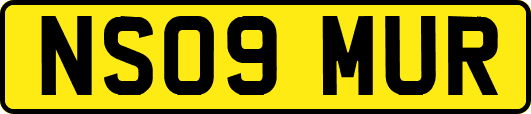 NS09MUR