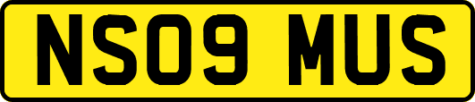 NS09MUS