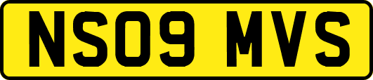 NS09MVS