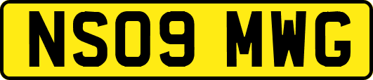 NS09MWG