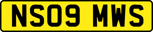NS09MWS
