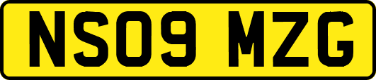 NS09MZG