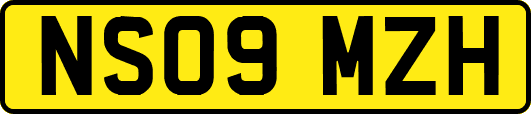 NS09MZH
