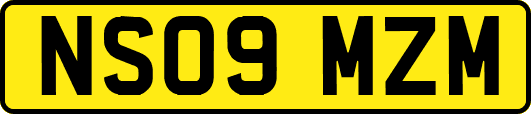 NS09MZM