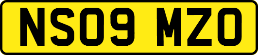NS09MZO