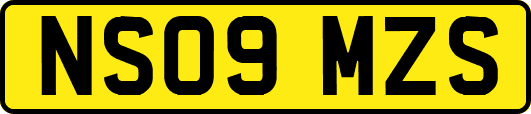 NS09MZS