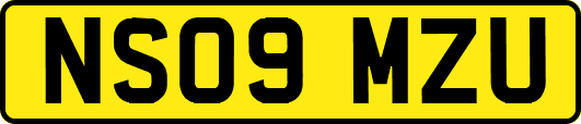 NS09MZU