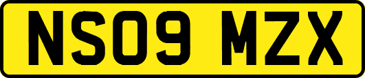 NS09MZX