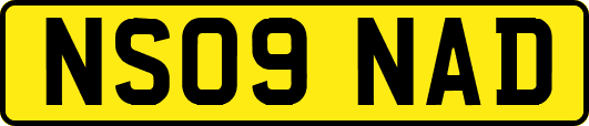 NS09NAD