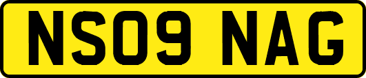 NS09NAG
