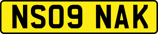 NS09NAK