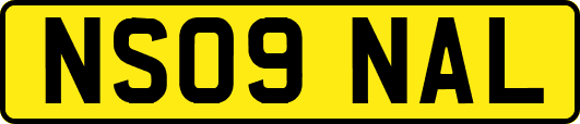 NS09NAL