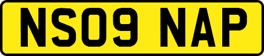 NS09NAP