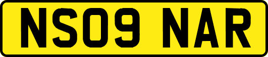 NS09NAR