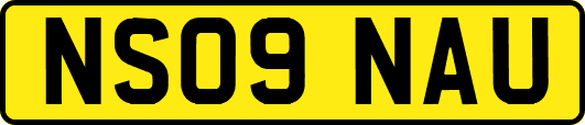 NS09NAU