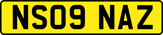 NS09NAZ
