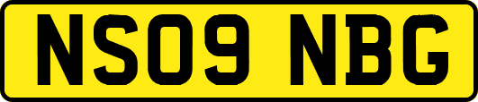 NS09NBG