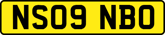 NS09NBO