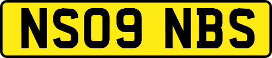 NS09NBS