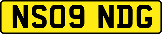 NS09NDG