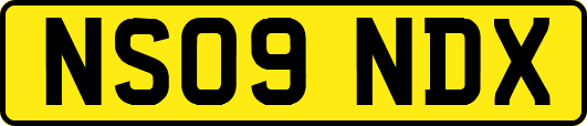 NS09NDX