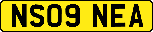 NS09NEA