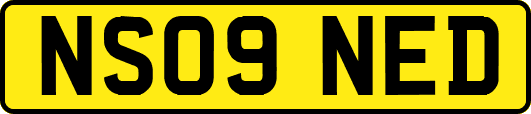 NS09NED