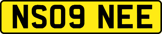 NS09NEE