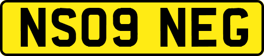 NS09NEG