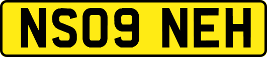 NS09NEH