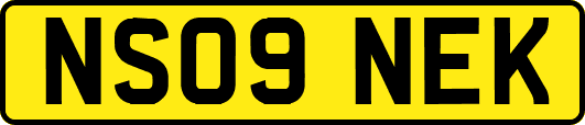 NS09NEK