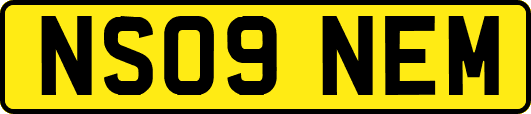NS09NEM
