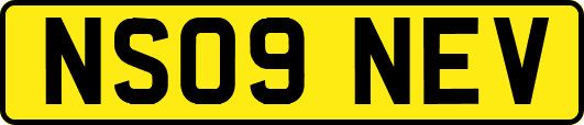 NS09NEV