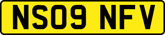 NS09NFV