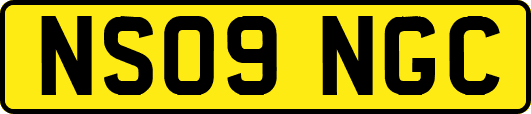 NS09NGC