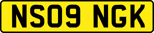 NS09NGK