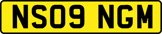 NS09NGM