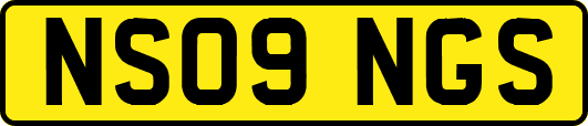 NS09NGS