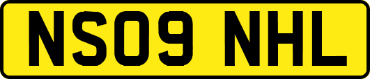 NS09NHL