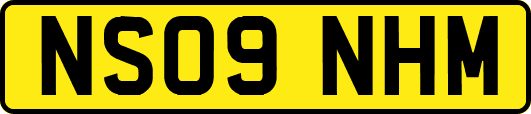 NS09NHM